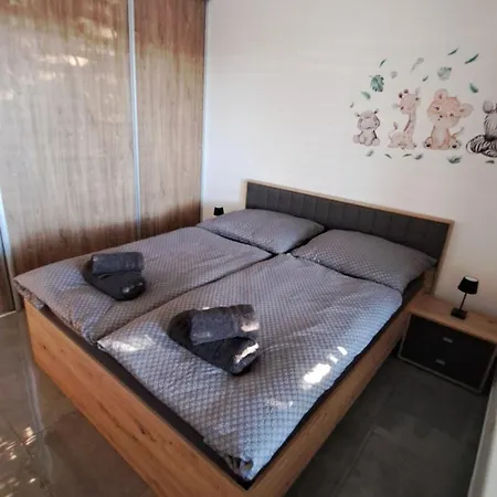 Moderny 3 Izbovy Dom So Zahradou A Terasou Blizko Bratislavy * Slovensky Grob